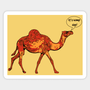 Camel It's Hump Day Magnet